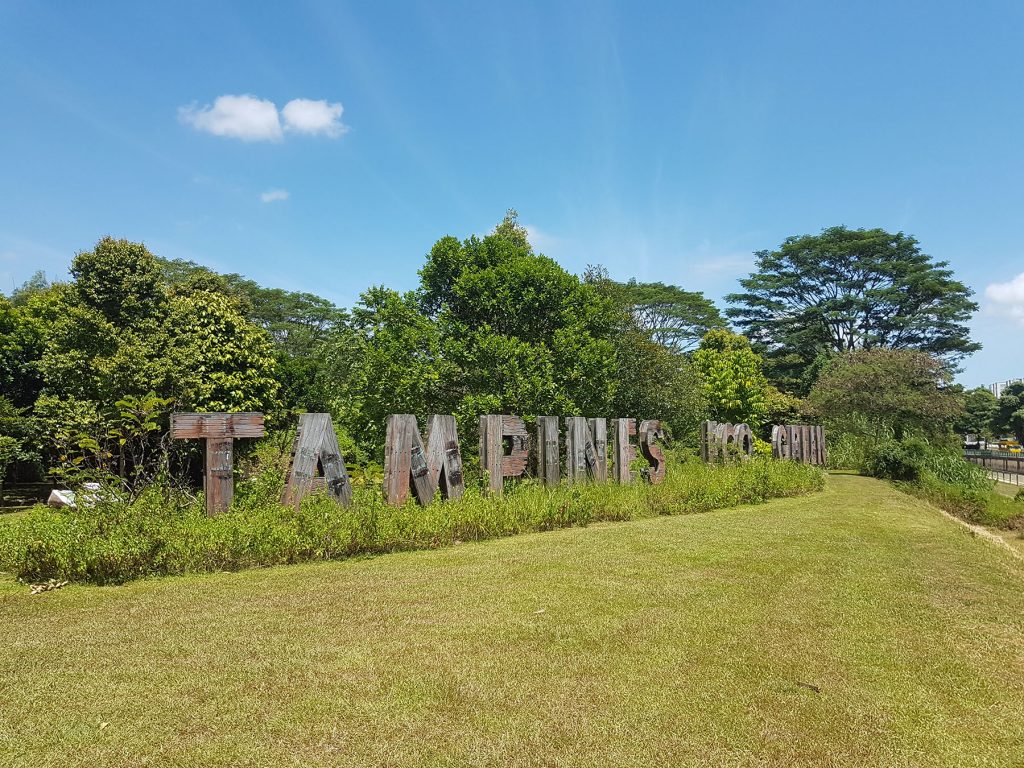 tampines-eco-green-park-near-tenet-ec-singapore
